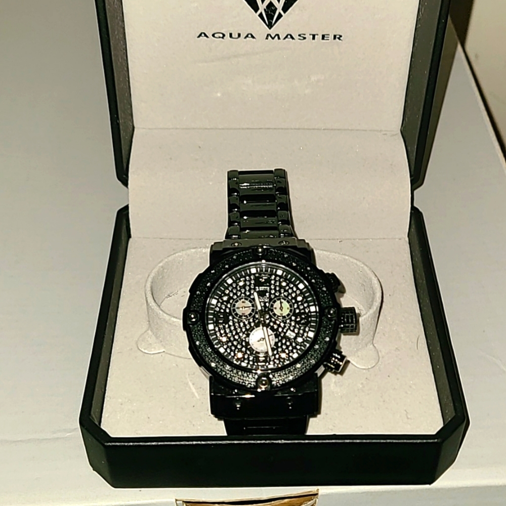 Aqua Master watch